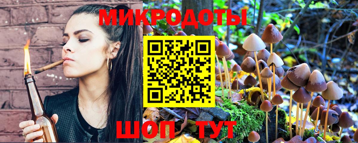 Лабинск  магазин    Вход с VPN  Псилоцибиновые грибы Psilocybine cubensis 