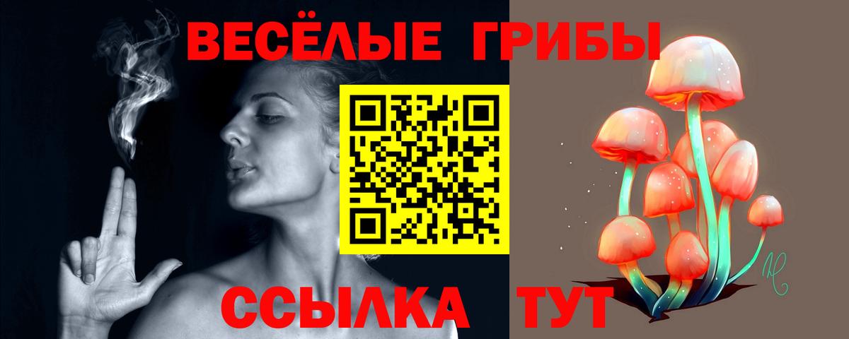 Галлюциногенные грибы мицелий Лабинск